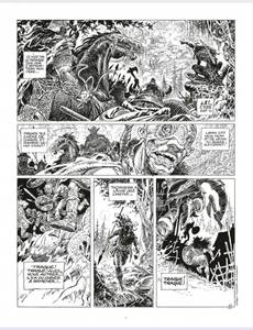 Aperçu 8 de l'album Saga Valta tome 1