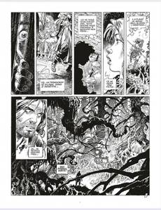 Aperçu 9 de l'album Saga Valta tome 1