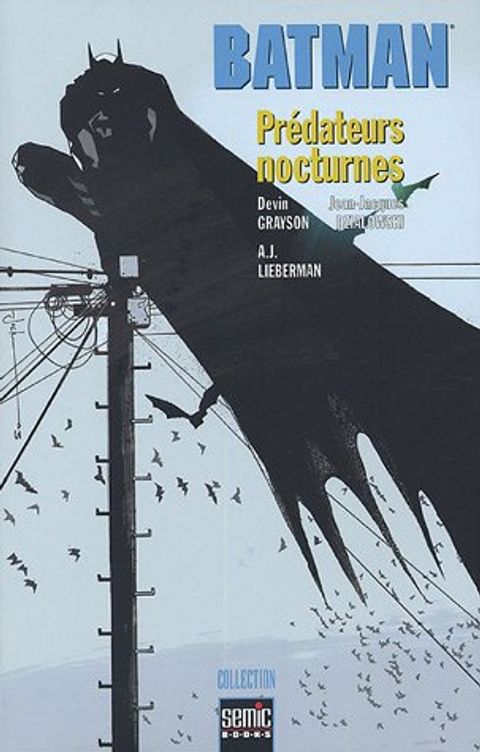 Couverture de l'album Batman - Prédateurs Nocturnes