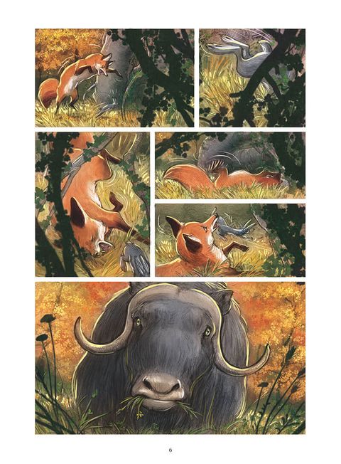 Aperçu de l'album Love tome 2 - Le Renard