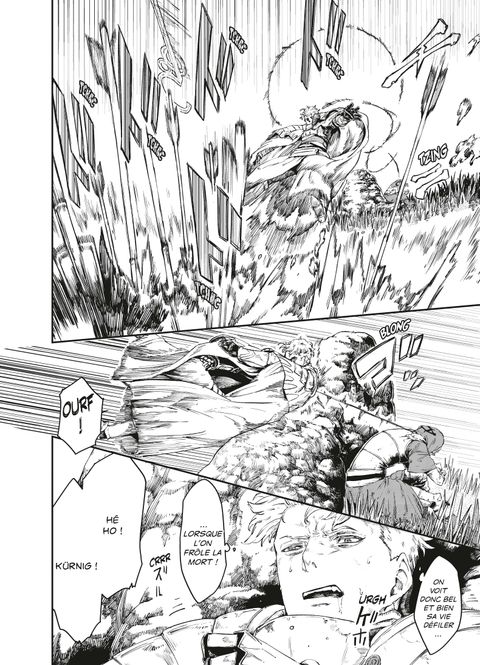 Aperçu de l'album Les Survivants d'Ormélion tome 3