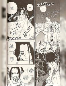 Aperçu 3 de l'album Shaman King tome 22