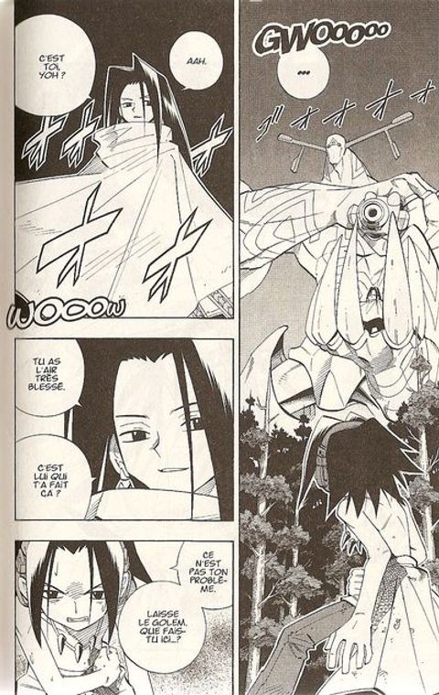 Aperçu de l'album Shaman King tome 22