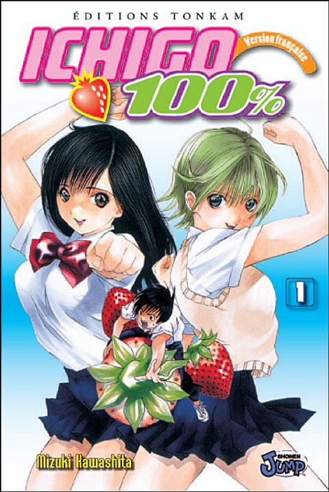Couverture de l'album Ichigo 100 %