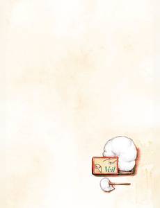 Aperçu 6 de l'album Veil tome 3 - Blanc gracieux