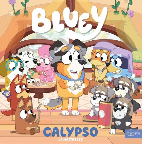 Couverture de l'album Calypso la maîtresse 