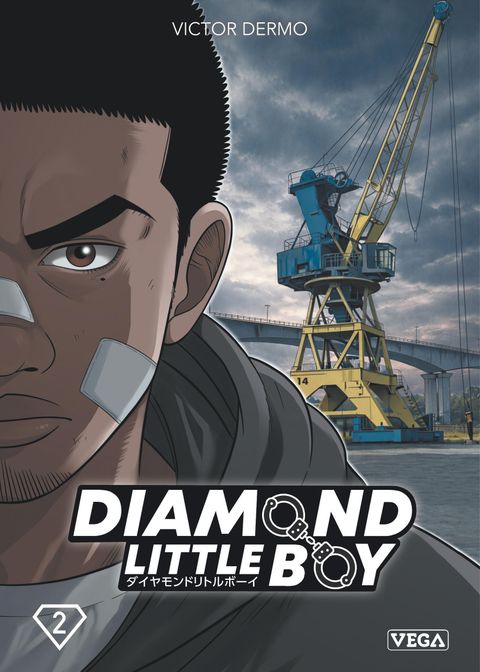 Couverture de l'album Diamond Little Boy
