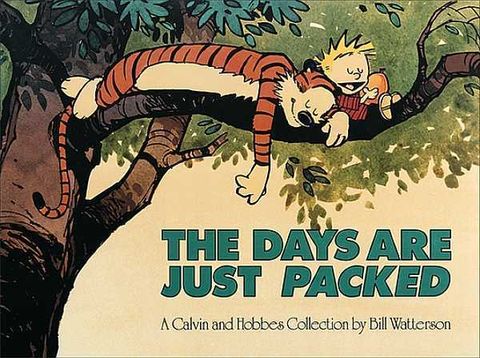 Couverture de l'album the days are just packed