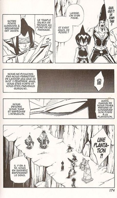 Aperçu de l'album Shaman King tome 30