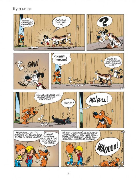 Aperçu de l'album Boule & Bill tome 8 - Souvenirs de famille