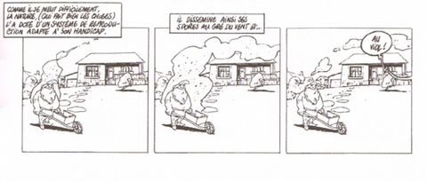 Aperçu de l'album Les Nains de Jardins tome 1 - Les nains de jardin - première brouette #1