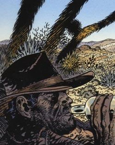 Couverture de l'album Les Frères Bull
