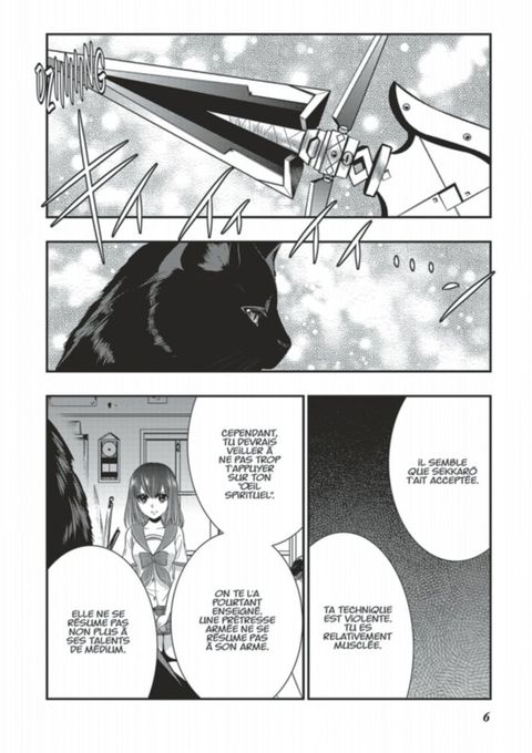 Aperçu de l'album Strike The Blood tome 9