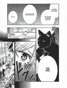 Aperçu 10 de l'album Strike The Blood tome 9