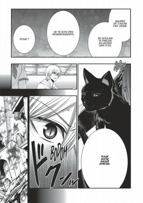 Aperçu de l'album Strike The Blood tome 9
