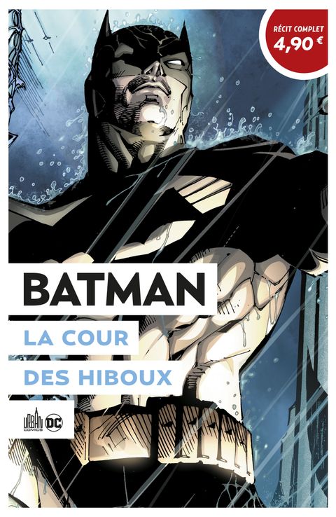 Couverture de l'album La cour des hiboux