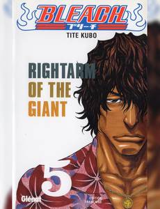 Couverture de l'album Rightarm Of The Giant