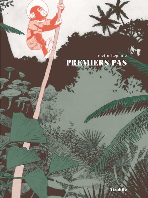 Couverture de l'album Premiers pas