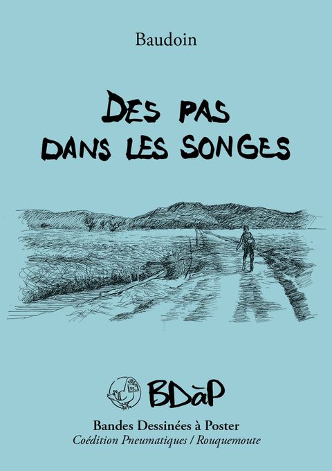 Couverture de l'album Des pas dans les songes