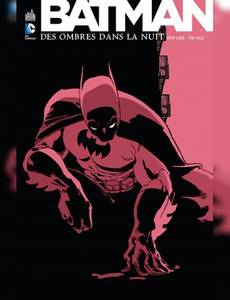 Couverture de l'album Des Ombres dans la Nuit