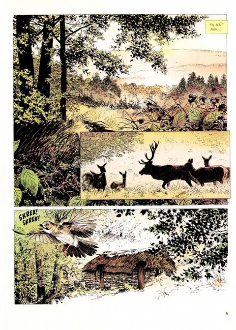 Aperçu de l'album La mémoire des arbres tome 1 - La Hache et Fusil Tome 1