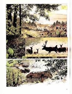 Aperçu 3 de l'album La mémoire des arbres tome 1 - La Hache et Fusil Tome 1