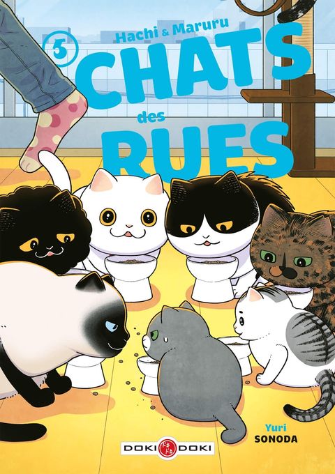 Couverture de l'album Hachi & Maruru - Chats des rues