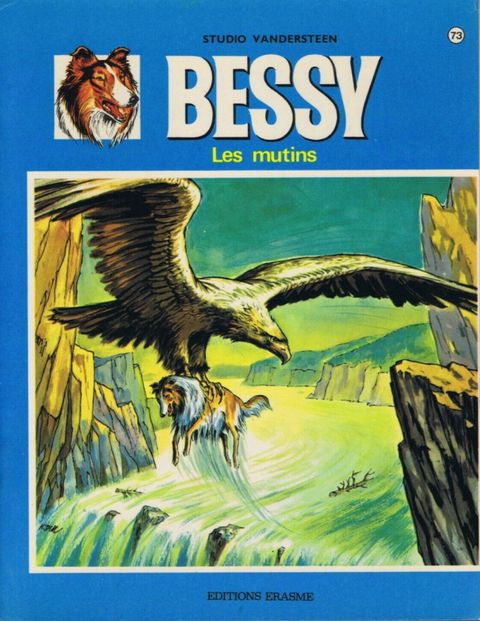 Couverture de l'album Les mutins