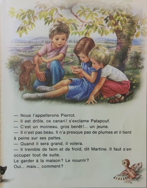 Aperçu de l'album Martine tome 30 - Martine et son ami le moineau...