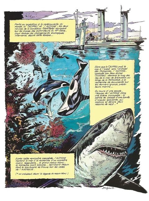 Aperçu de l'album Les aventures de l'équipe COUSTEAU en bande dessinée tome 11 - Le Seigneur des Requins