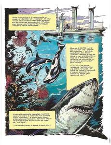 Aperçu 3 de l'album Les aventures de l'équipe COUSTEAU en bande dessinée tome 11 - Le Seigneur des Requins