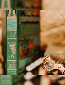 Aperçu 11 de l'album Minalima Classique - Le magicien d'oz