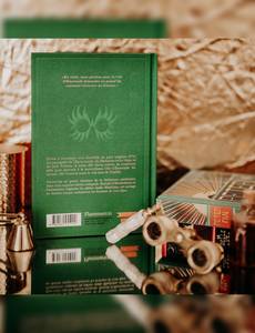 Aperçu 13 de l'album Minalima Classique - Le magicien d'oz