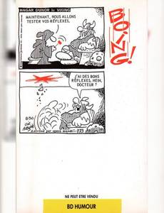 Aperçu 2 de l'album Hagar Dunor - J'ai lu BD - Hagar Dunor le Viking