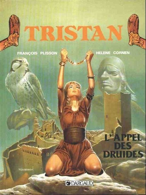 Couverture de l'album L'appel des druides