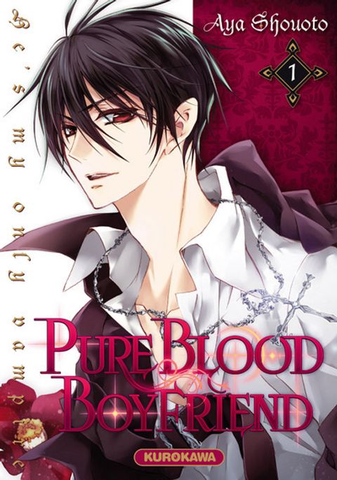 Couverture de l'album Pure Blood Boyfriend