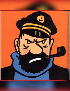 Aperçu 3 de l'album Tintin (France Loisirs 2007) (Int. 2T + HS) tome 5.1 - Haddock - "Mille millions de mille sabords !"