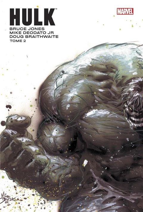 Couverture de l'album Hulk Marvel Icons