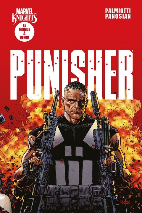 Couverture de l'album The Punisher (Marvel Knights)