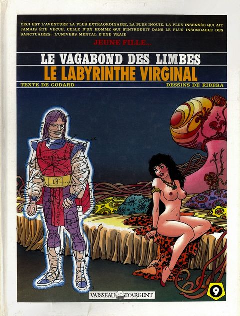 Couverture de l'album Le labyrinthe virginal