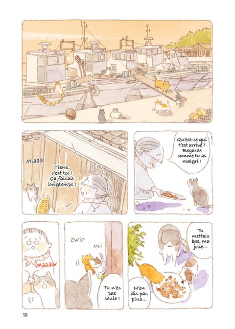 Aperçu de l'album Le Vieil Homme et son Chat tome 8 - Le Vieil Homme et son chat