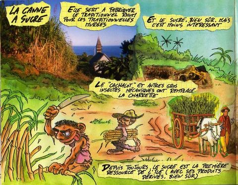 Aperçu de l'album Balade à la Réunion
