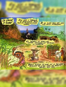Aperçu 3 de l'album Balade à la Réunion