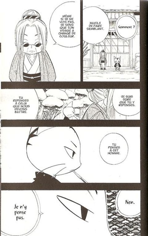 Aperçu de l'album Shaman King tome 19