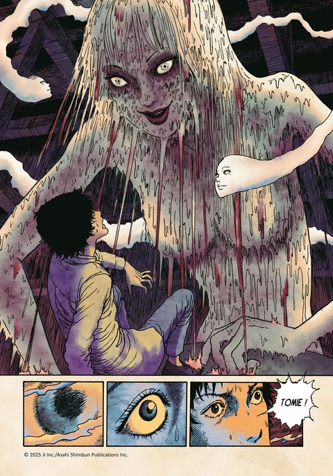 Aperçu de l'album Dark Colors