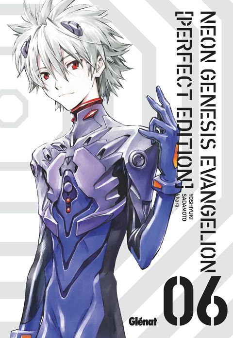 Couverture de l'album Neon Genesis Evangelion - Perfect Edition