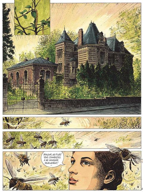 Aperçu de l'album La Petite Reine