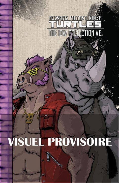Couverture de l'album Les Tortues Ninja - TMNT - L’intégrale 