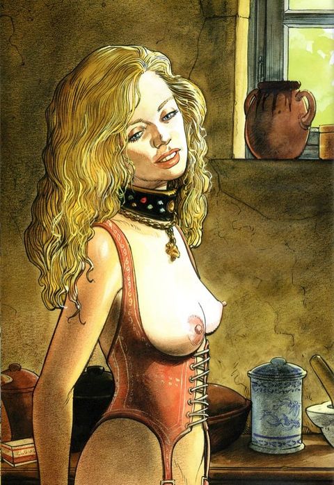 Aperçu de l'album Le château des femmes tome 1