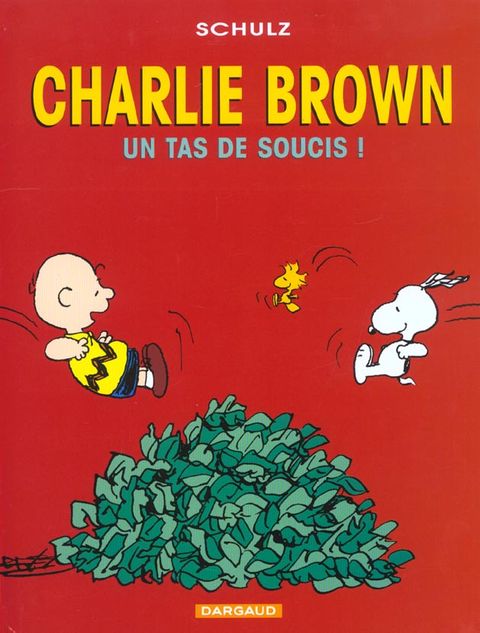 Couverture de l'album Un Tas de Soucis